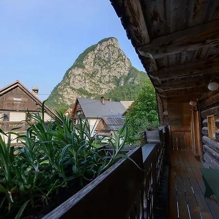 Rustic House 13 * Bohinj