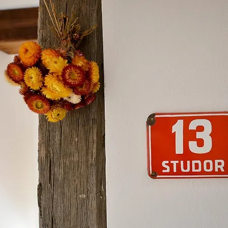 Rustic House 13 *